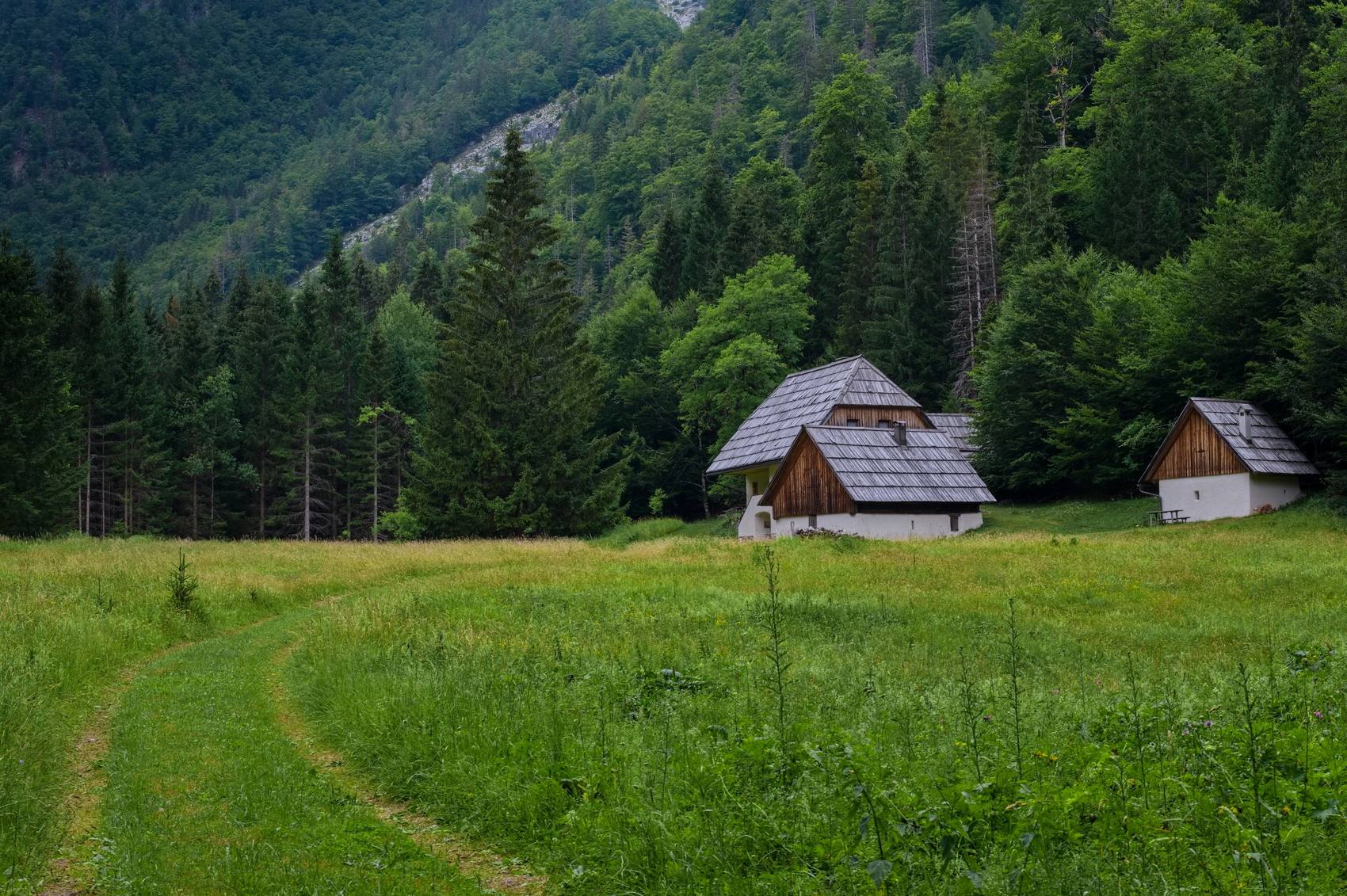 Horská louka s dřevěnými chalupami na okraji jehličnatého lesa